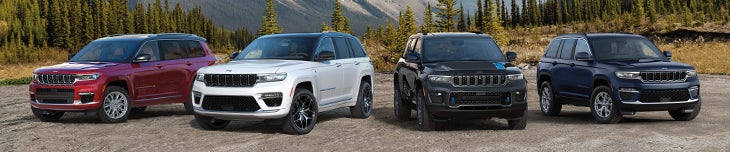 Car Dealership In Opelika, AL