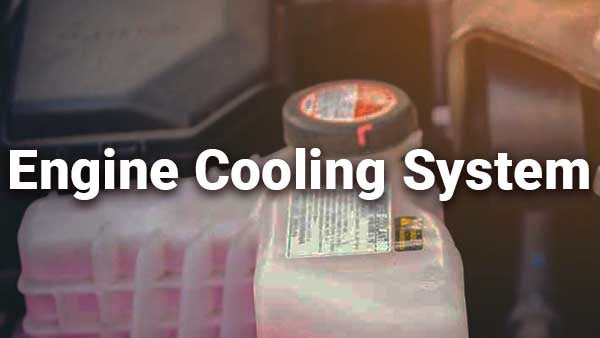 Cooling System Service